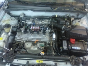 Nissan almera 2004 r
